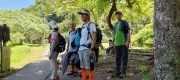Thumbnail of pic_Mingle_Tam_011.jpg
