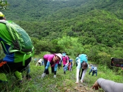 Thumbnail of P8200053.JPG