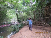 Thumbnail of pic_Derek_Wong_045.JPG