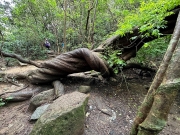 Thumbnail of pic_TB_Tung_027.jpg