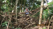 Thumbnail of pic_Derek_Wong_048.JPG