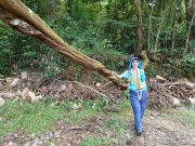 Thumbnail of pic_SK_Kwan_022.jpg
