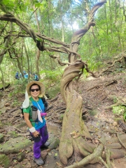 Thumbnail of pic_WaiG_085.jpg