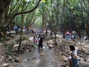 Thumbnail of PA150039.JPG