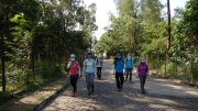 Thumbnail of pic_CW_Ho_001.jpg