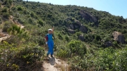 Thumbnail of pic_CW_Ho_111.jpg
