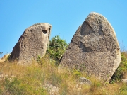 Thumbnail of pic_Lee_Shing_089.jpg
