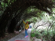 Thumbnail of PB110066.JPG