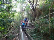 Thumbnail of PB190012.JPG