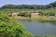 Thumbnail of pic_KL_Sin_037.jpg