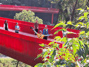 Thumbnail of pic_TK_Fu_005.jpg