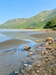 Thumbnail of pic_Peter_Ma_076.jpg