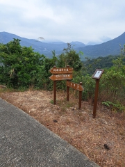 Thumbnail of pic_Regina_Cheng_001.jpg