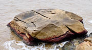 Thumbnail of pic_Shing_Lee_092.jpg