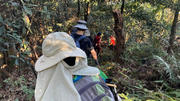 Thumbnail of pic_CL_Yip_026.jpg