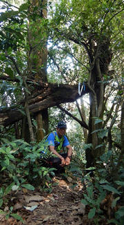 Thumbnail of pic_CW_Ho_030.jpg