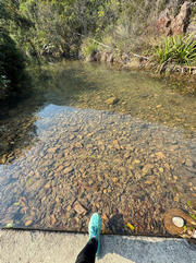 Thumbnail of pic_Cecilia_Ho_006.jpg