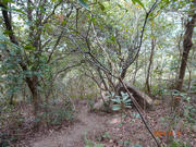 Thumbnail of pic_LK_Cheung_111.jpg