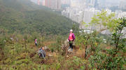 Thumbnail of pic_Derek_Wong_013.JPG