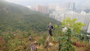 Thumbnail of pic_Derek_Wong_015.JPG