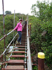 Thumbnail of P2040027.JPG