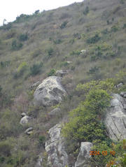 Thumbnail of pic_LK_Cheung_063.jpg