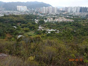 Thumbnail of pic_LK_Cheung_093.jpg