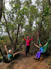 Thumbnail of pic_Kwok_Lam_082.jpg