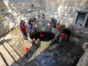Thumbnail of P3270034.JPG