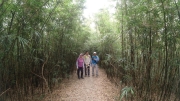 Thumbnail of pic_Derek_Wong_008.JPG