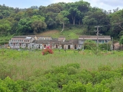 Thumbnail of pic_Regina_Cheng_064.jpg
