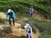 Thumbnail of P5050048.JPG