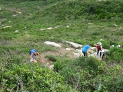 Thumbnail of P5050063.JPG