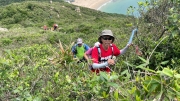 Thumbnail of pic_CL_Yip_079.jpg