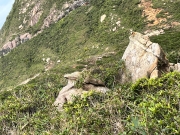 Thumbnail of pic_Paul_Tsang_086.jpg