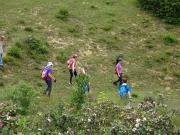 Thumbnail of P5120070.JPG