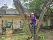 Thumbnail of pic_CW_Ho_025.jpg