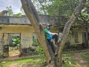 Thumbnail of pic_CW_Ho_026.jpg