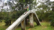 Thumbnail of pic_CW_Ho_087.jpg