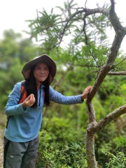 Thumbnail of pic_Kwok_Lam_009.jpg