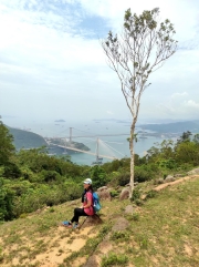 Thumbnail of pic_Kwok_Lam_018.jpg