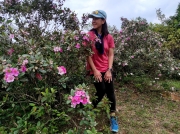 Thumbnail of pic_Kwok_Lam_019.jpg