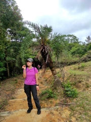 Thumbnail of pic_Kwok_Lam_041.jpg