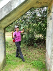 Thumbnail of pic_Kwok_Lam_049.jpg