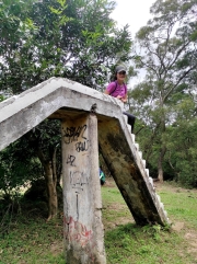 Thumbnail of pic_Kwok_Lam_058.jpg