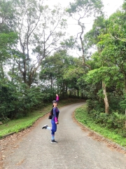 Thumbnail of pic_Kwok_Lam_067.jpg