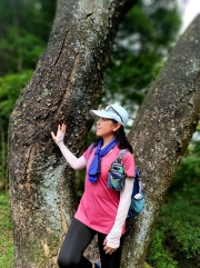 Thumbnail of pic_Kwok_Lam_071.jpg