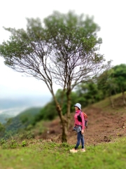 Thumbnail of pic_Kwok_Lam_077.jpg