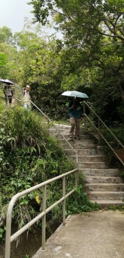 Thumbnail of pic_Lee_Woo_017.jpg