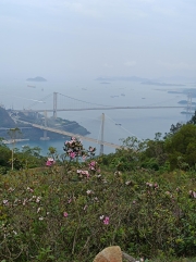 Thumbnail of pic_Mingle_Tam_038.jpg